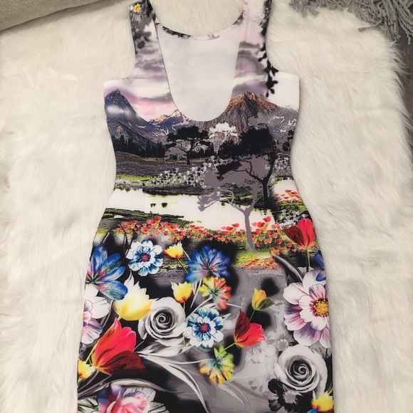 Cocoom Graphic Scenery Bodycon Sleeveless Dress - Picture 6 of 6